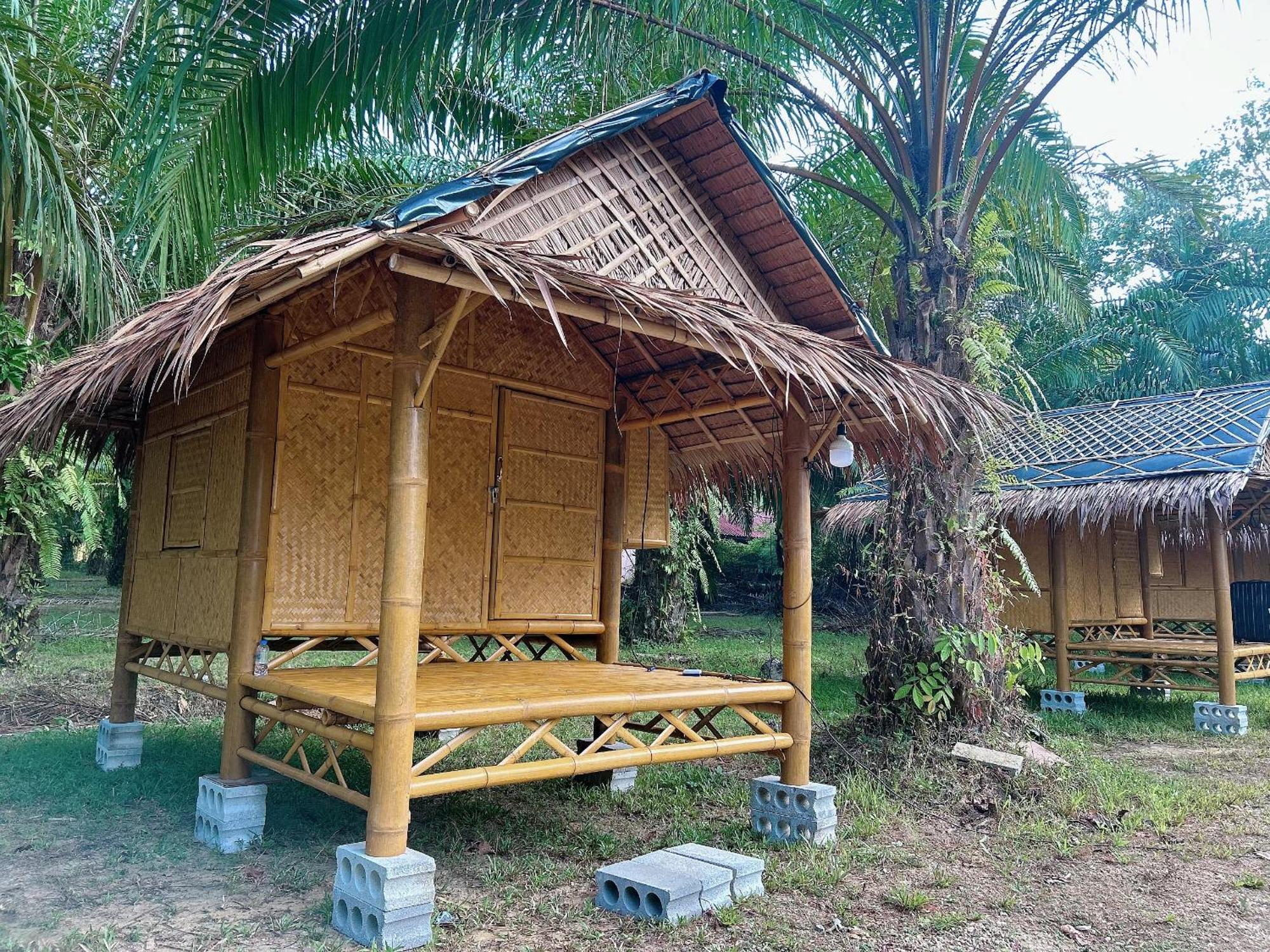 Khaosok August Freedom Camp Hotel Khao Sok National Park Luaran gambar