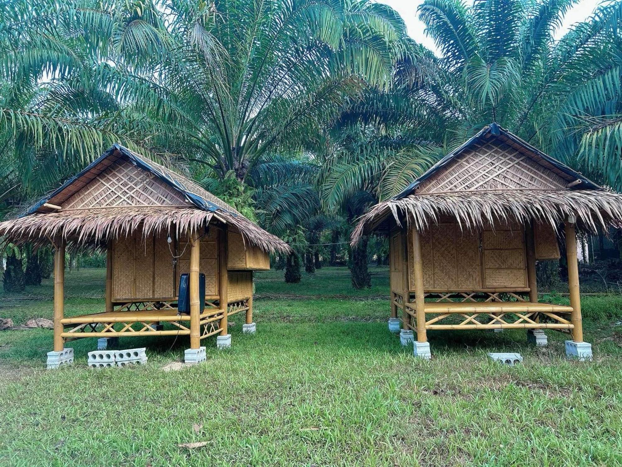 Khaosok August Freedom Camp Hotel Khao Sok National Park Luaran gambar